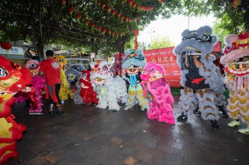 All the Lions who performed the lion dance